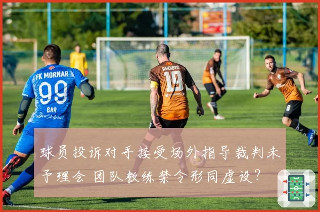 球员投诉对手接受场外指导裁判未予理会 团队教练禁令形同虚设?